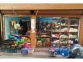 kirana-falful-ra-tarkari-pasal-small-0