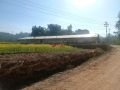 poultry-farm-for-sale-at-lalitpur-small-0