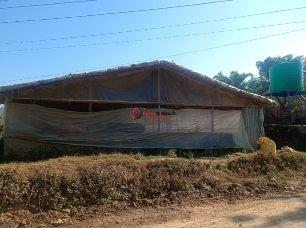 poultry-farm-for-sale-at-lalitpur-big-1