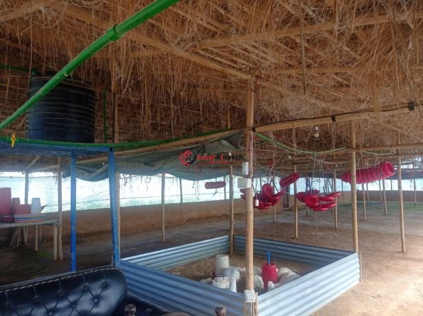 poultry-farm-for-sale-at-lalitpur-big-2