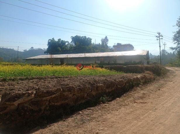 poultry-farm-for-sale-at-lalitpur-big-0
