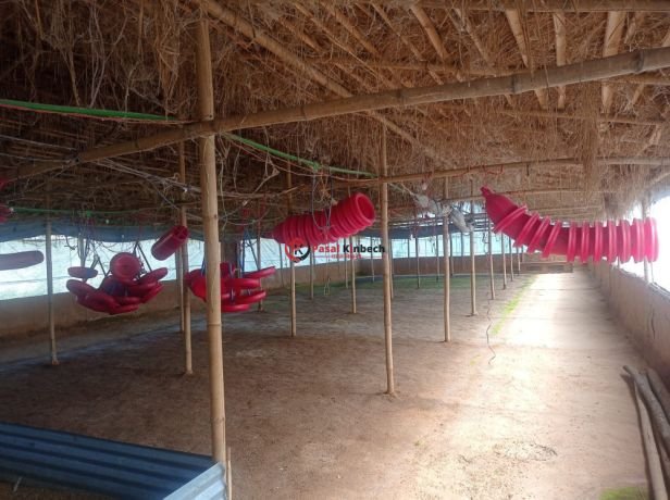 poultry-farm-for-sale-at-lalitpur-big-3