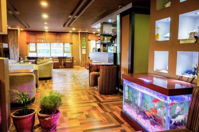 urgent-restaurant-for-sale-at-jhamsikhel-chowk-big-4