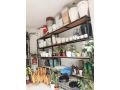 plant-shop-for-sale-at-new-baneshwor-kathmandu-small-3