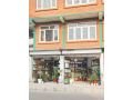 plant-shop-for-sale-at-new-baneshwor-kathmandu-small-0