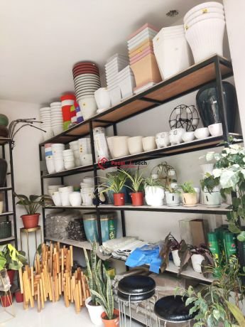 plant-shop-for-sale-at-new-baneshwor-kathmandu-big-3