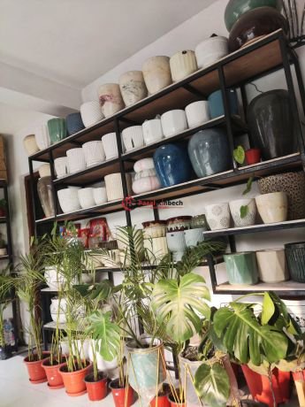 plant-shop-for-sale-at-new-baneshwor-kathmandu-big-4