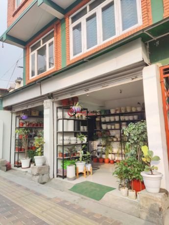 plant-shop-for-sale-at-new-baneshwor-kathmandu-big-2