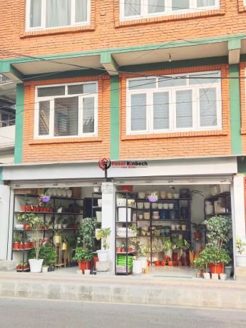 plant-shop-for-sale-at-new-baneshwor-kathmandu-big-0