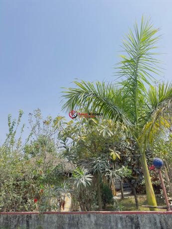 calrahaka-rasataranata-ta-bkarama-big-1